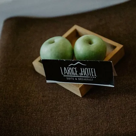 Larice Hotel Livigno