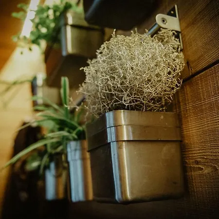 Larice Suite&breakfast