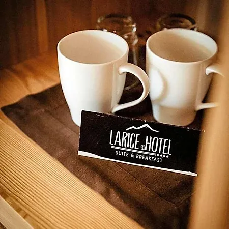 Hotel Larice 4*